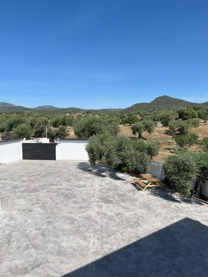 El Gallinero